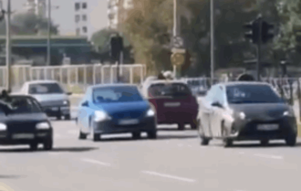 KAMIKAZA NA NOVOM BEOGRADU: Vozio u suprotnom smeru pa ga zaustavio saobraćajac (VIDEO)